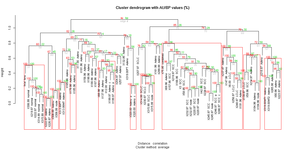 example of DNA microarray data analysis of lung tumors